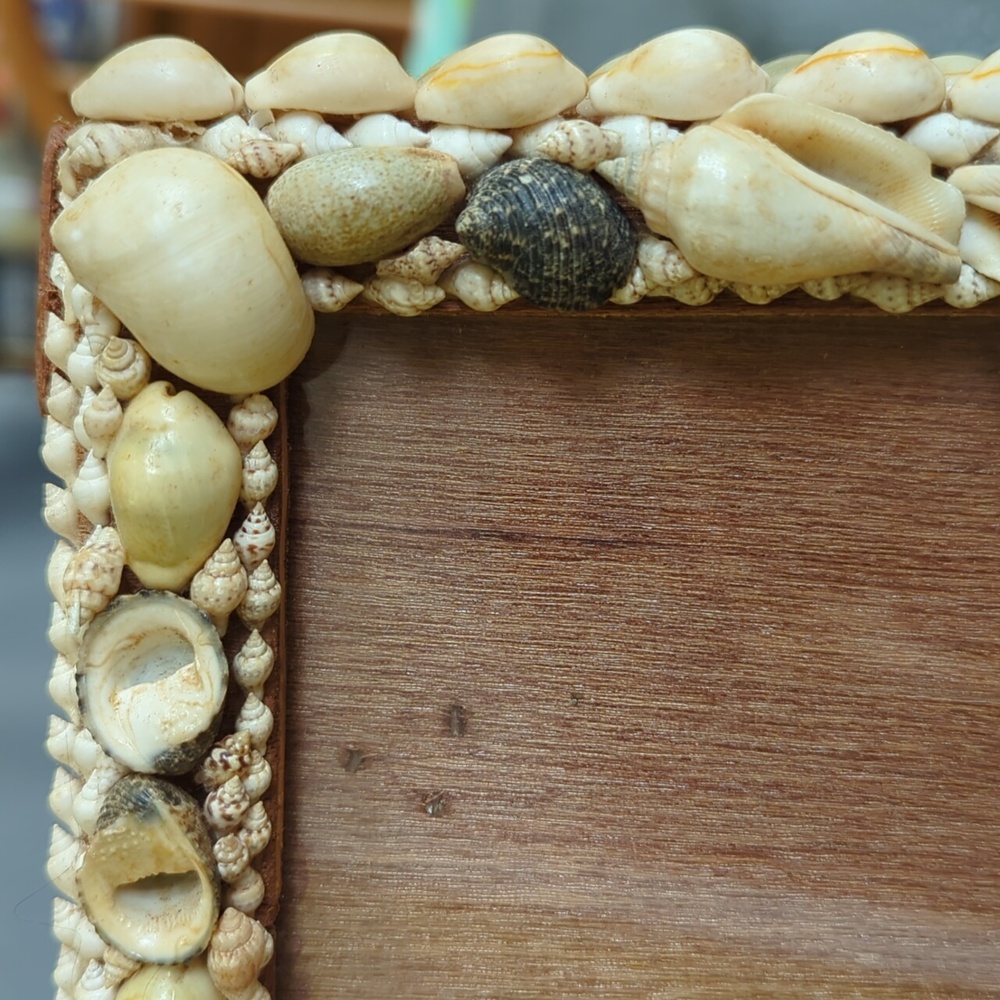 Seashell Picture Frame. - Picture 3 of 8